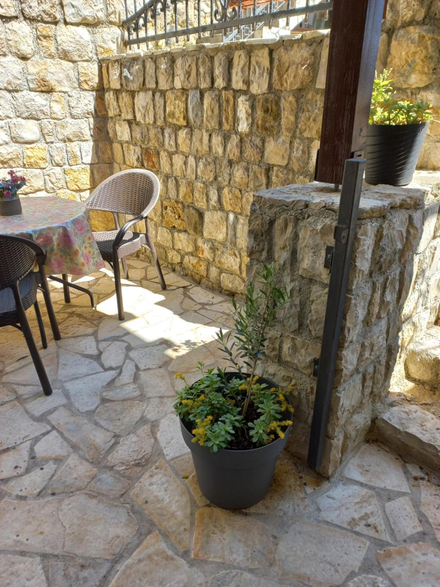 Apartments Antigona Old Town Ulcinj Chambre photo